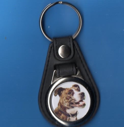 Dog keyring staffordshire bull - keyring,