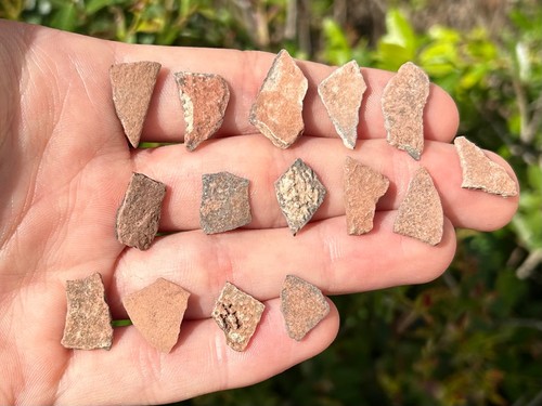 Dinosaur eggshell fossils - eggshell, lot