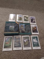   "THE CELTIC ANIMAL ORACLE"  Oracle Cards & Book set by Anna Franklin. 