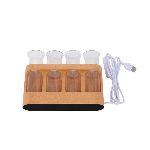 Plant propagation station with - propagation,