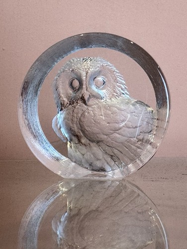 Mats jonasson sweden fledgling - jonasson,