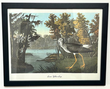 Framed Print LESSER YELLOW-LEGS BIRD by John James Audubon TOTANUS FLAVIPES