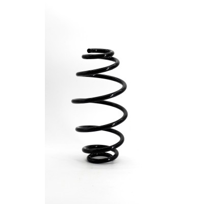Genuine napa rear - napa, coil