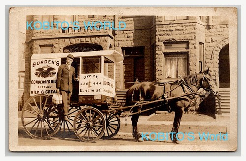 Rppc horse drawn milk - horse,