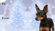Miniature Pinscher Christmas