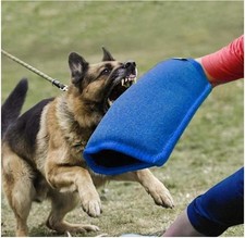 Dog Bite Sleeve Training Arm