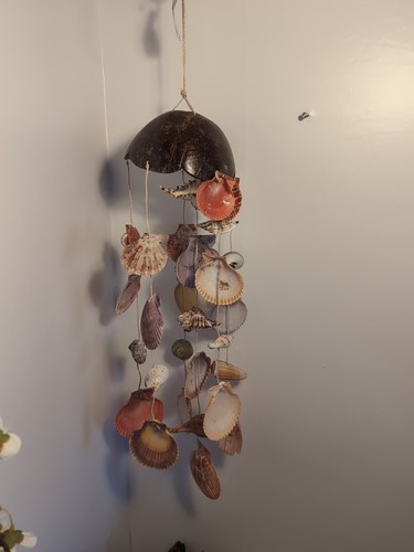 Hanging coconut shell - hanging,