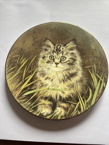 Royal worcester wild - worcester,