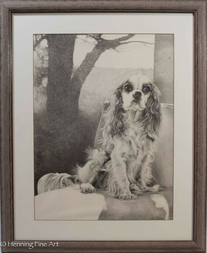 Cocker spaniel original pencil - original,