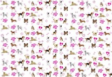 Personalised Dog Birthday