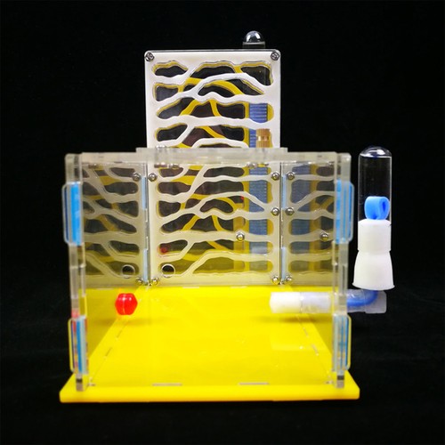 Acrylic ant farm yellow - acrylic,