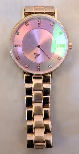 Storm ladies watch rina - rina, gold