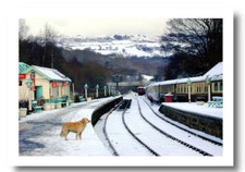NORTH YORKSHIRE MOORS RAILWAY