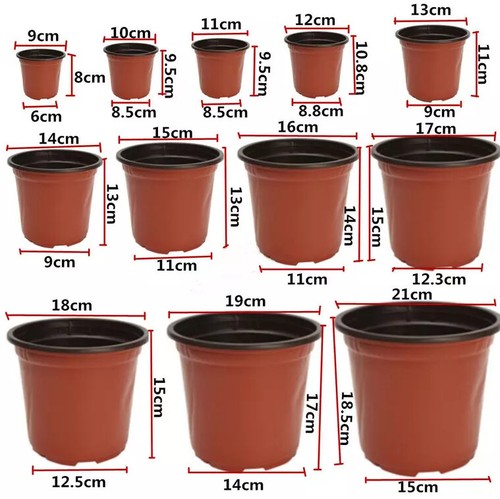 Plastic plant flower - plastic, pots