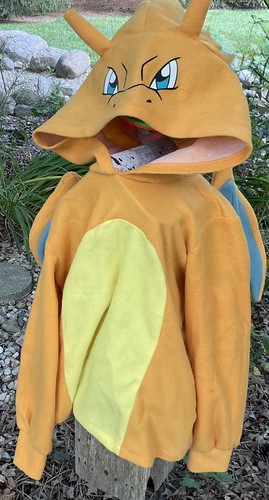 Pokemon charizard hoodie - pokemon,