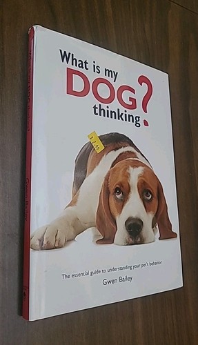 What dog thinking the - is,