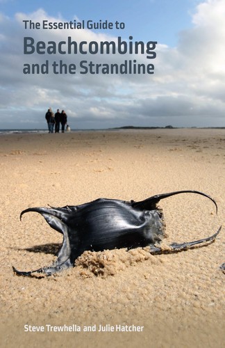 The essential guide - the,