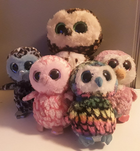 Beanie boo owls bundle five - owls,