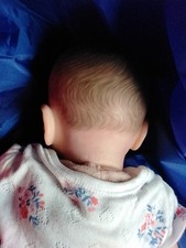 Reborn Doll By Sue Terry Tots