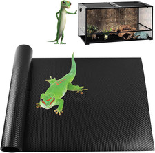 Bearded dragon tank - bearded,