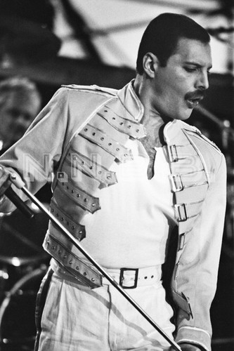 Freddie mercury queen - freddie, x