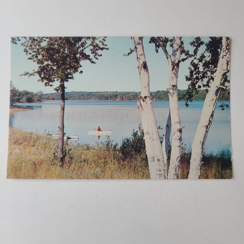 Postcard fishing boat - postcard,