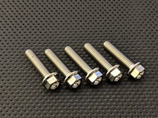 Suzuki GSXR750 Slabside Titanium Pick Up Cover Bolts Ti 85-87 Engine Case bolts