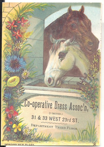 1881 trade card 2 horse - card,