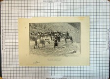 Original Old Antique Print Corral Dans Province Patagones Meat Industry Horses