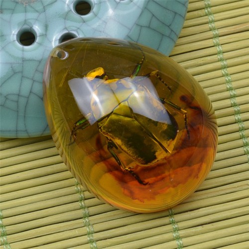 Amber insect spcimen pendant - amber,