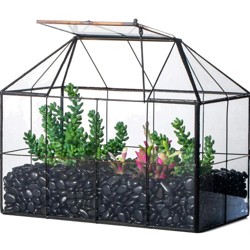 Glass terrarium planter with - glass,