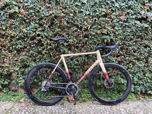 Argonaut rm3 frame set - frame, large