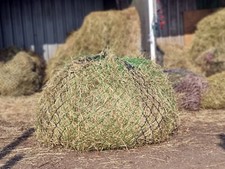 "Horse Masters Deluxe 45" Twisted Haylage Net Slow Feeder Hay Bag (Mixed Colors)