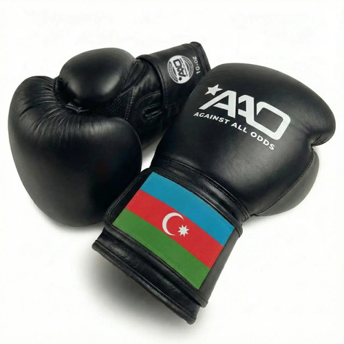 Azerbaijan boxing gloves - boxing, aao