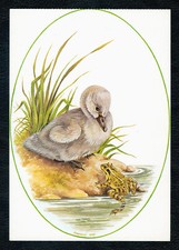 Frances Fry Artist Signed Duck