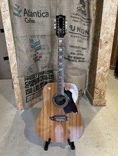 Eko Rio Bravo 1970’s 12 String Guitar with Gator Hard Case