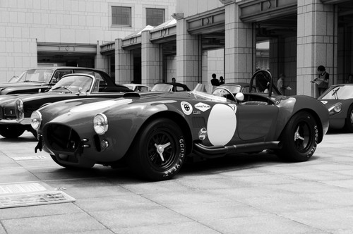 Cobra 427 car show classic - cobra,