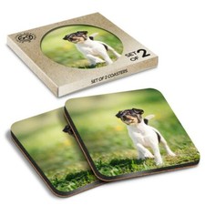 2 x Boxed Square Coasters - Cute Fox Terrier Dog Puppy  #2223