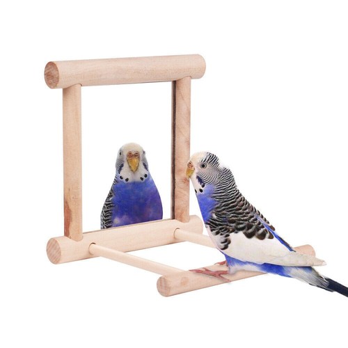 Bird toy cage swing - bird,
