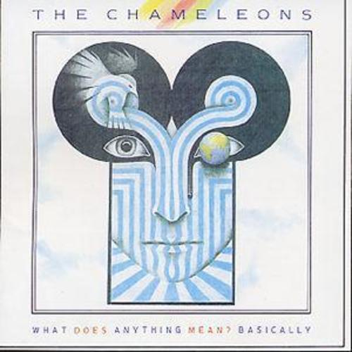 The chameleons what does - the, :