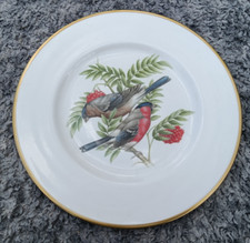Vintage British Birds Coalport