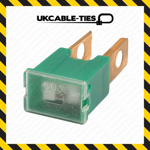 Pal fuses 40a amp - pal, male