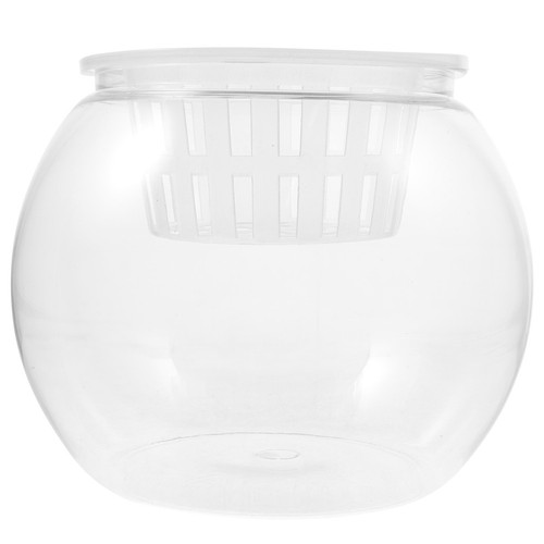 Household small fish - fish, breeding