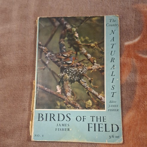 Vintage birds the field - birds, of