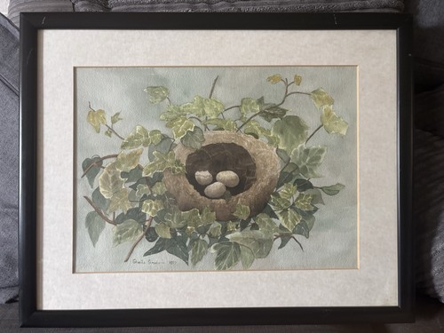 Framed watercolour robins - of, a