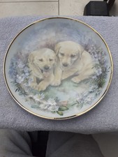 Collectible Dog Plate With 2 Golden Puppies, The Majestic Collection