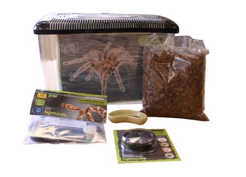 Komodo complete tarantula - complete,