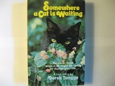 Somewhere a cat is waiting