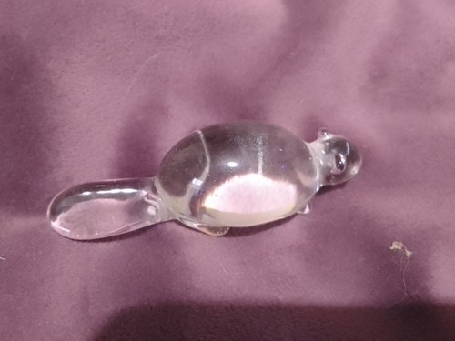 Beaver small clear - clear, glass