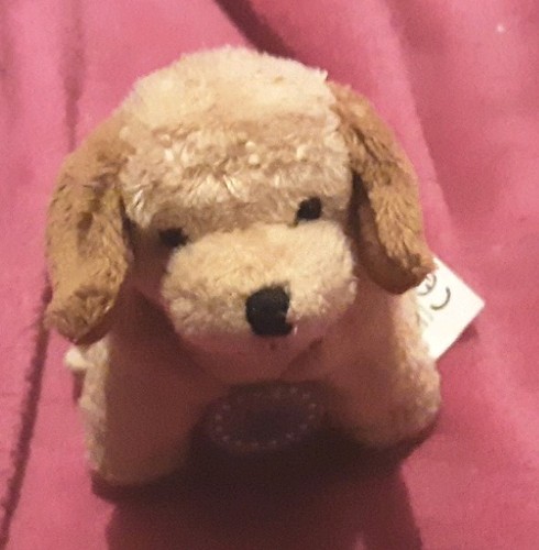 Miniature guide dogs - miniature,